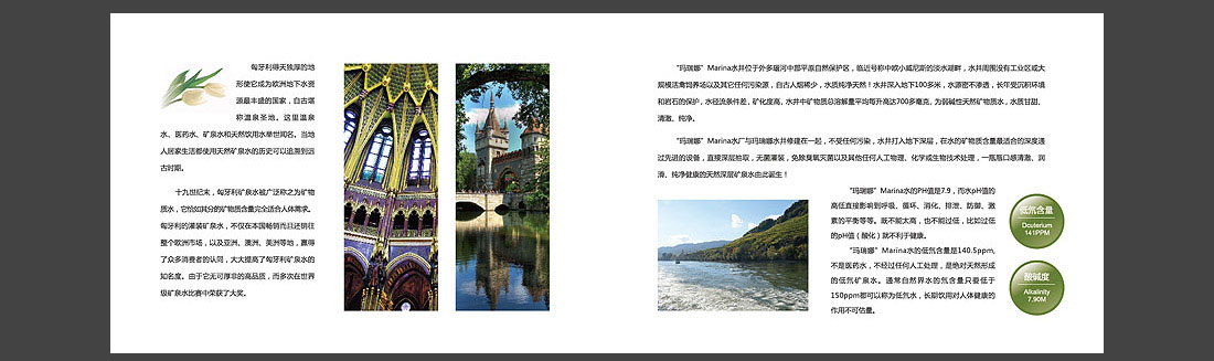 低氘礦泉水宣傳圖冊(cè)_匈牙利品牌畫(huà)冊(cè)-5