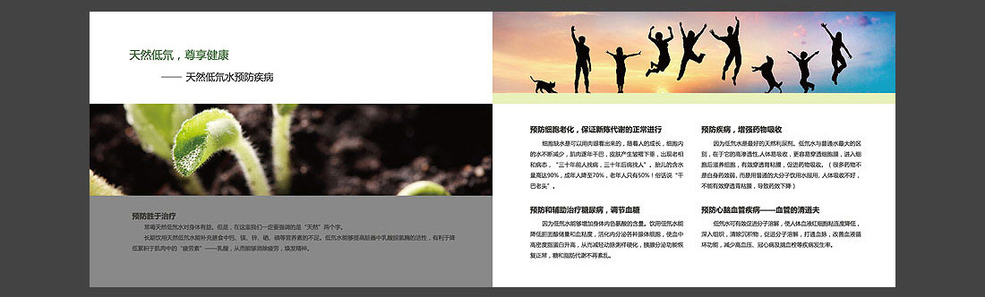 低氘礦泉水宣傳圖冊(cè)_匈牙利品牌畫(huà)冊(cè)-8