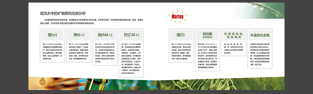 低氘礦泉水宣傳圖冊(cè)_匈牙利品牌畫(huà)冊(cè)-10